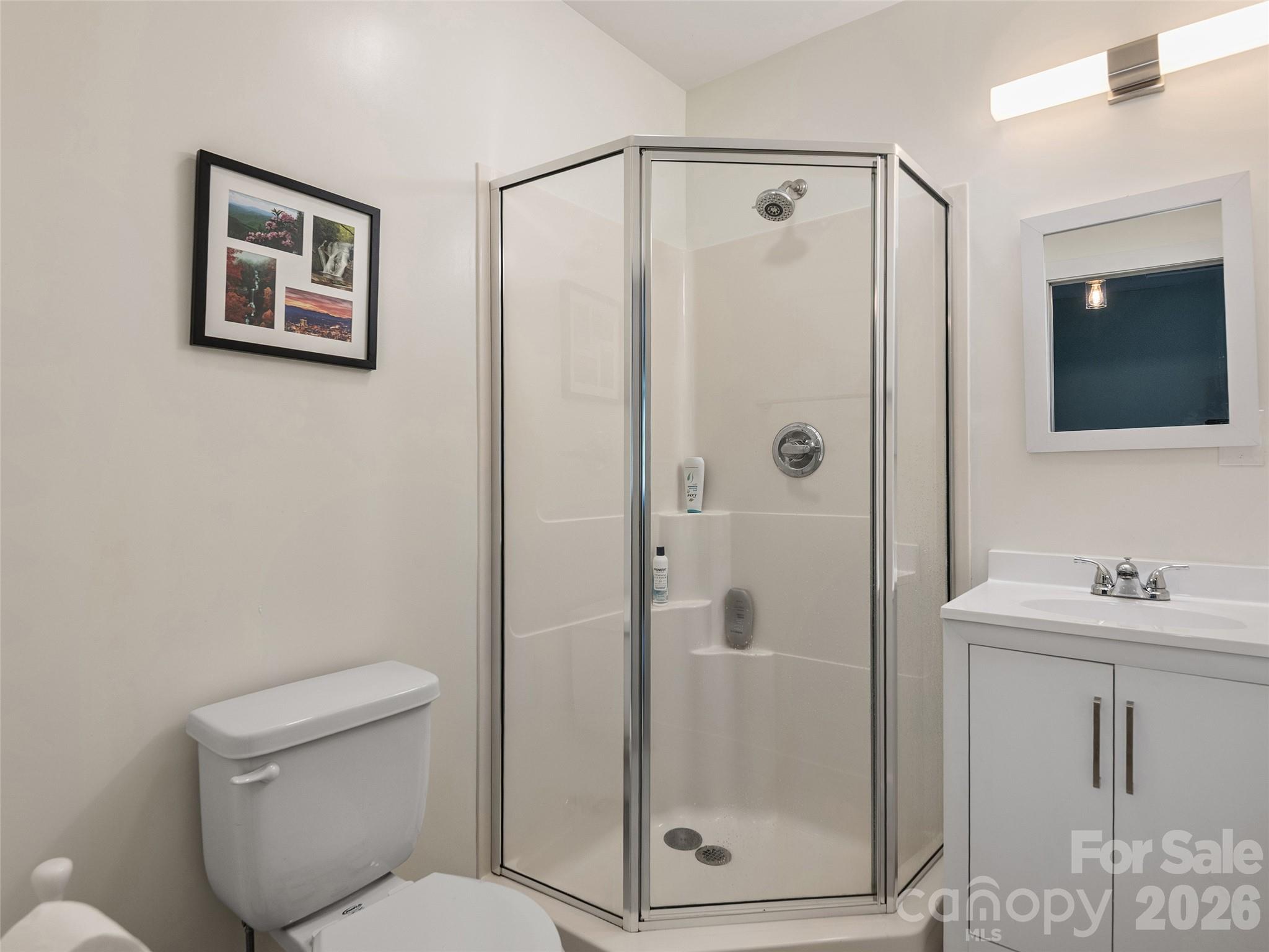 64 Springside Road Asheville NC 28803