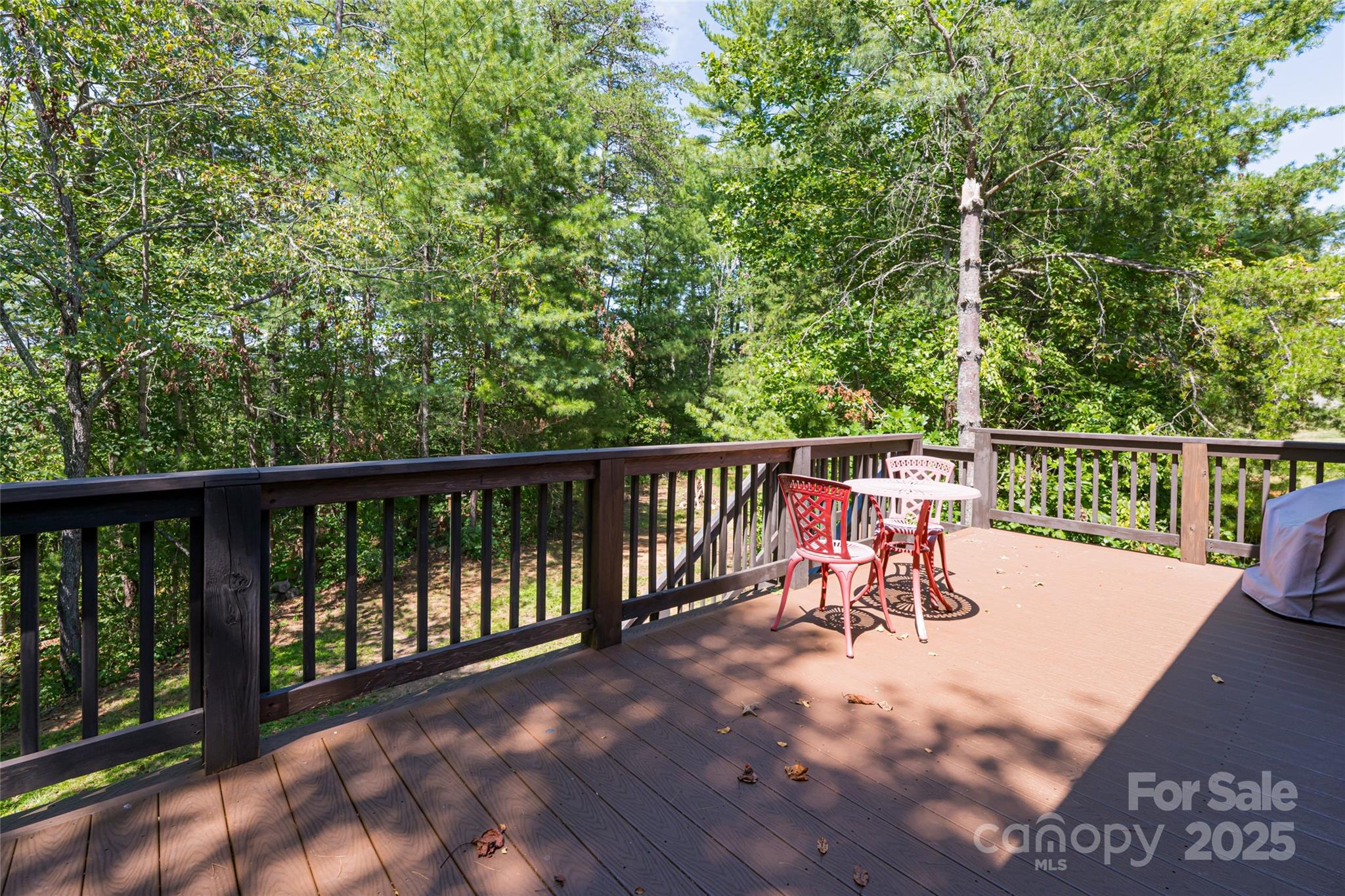 80 Boone Trail Weaverville NC 28787