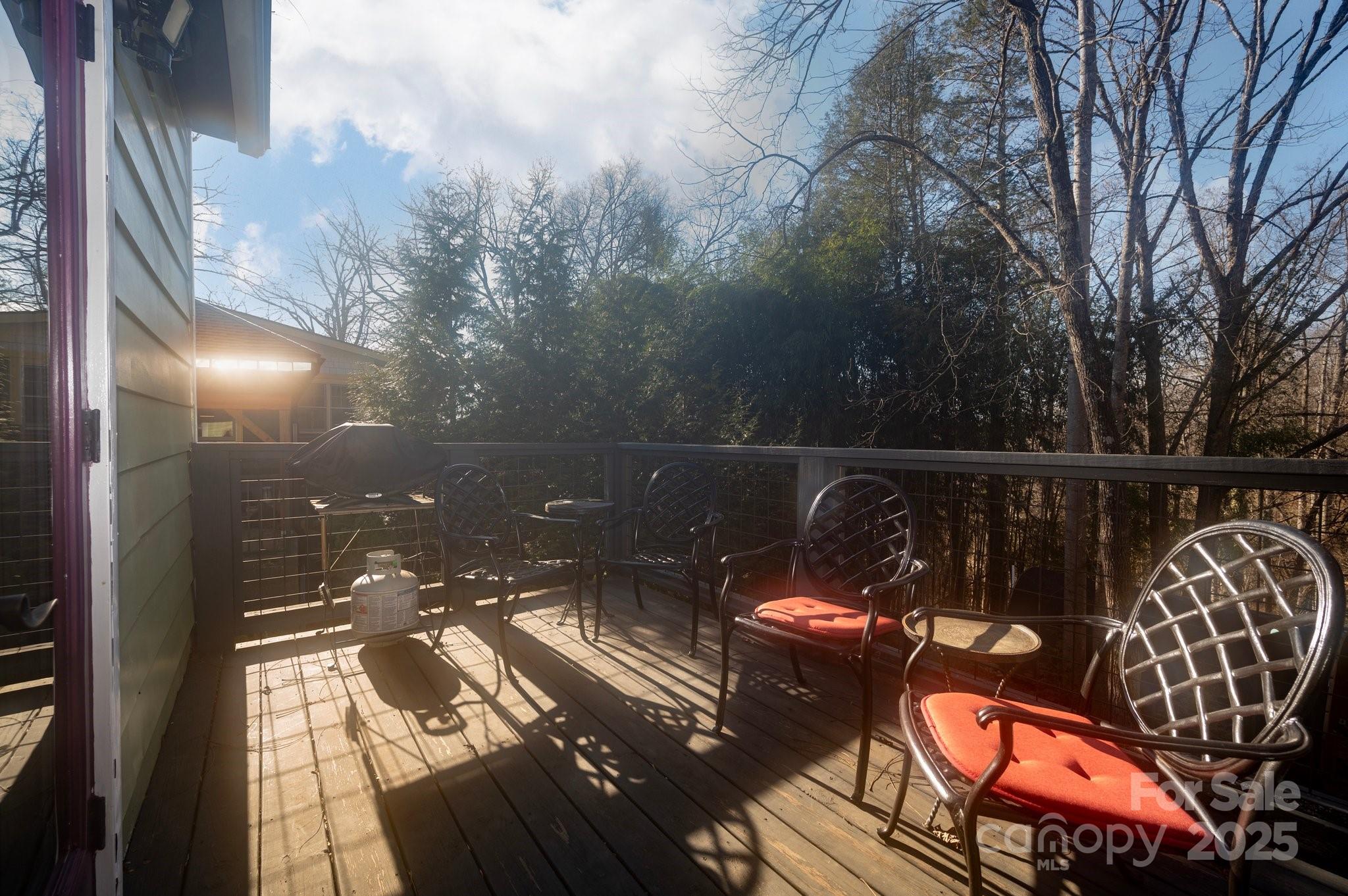 19 Pickwick Road Asheville NC 28803