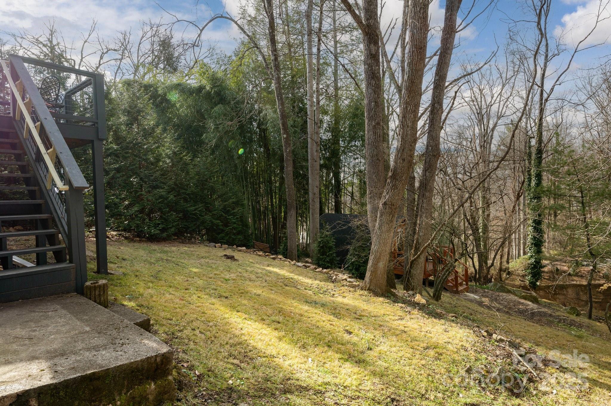 19 Pickwick Road Asheville NC 28803