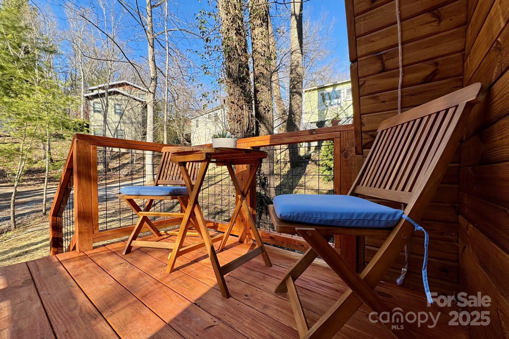 19 Pickwick Road Asheville NC 28803