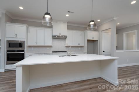 15132 Rocky Bluff Loop Davidson NC 28036