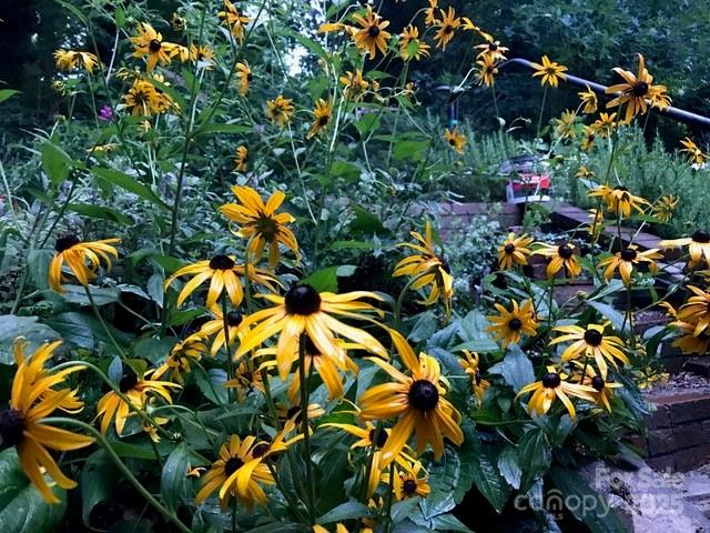 233 Rolling Drive Waynesville NC 28786