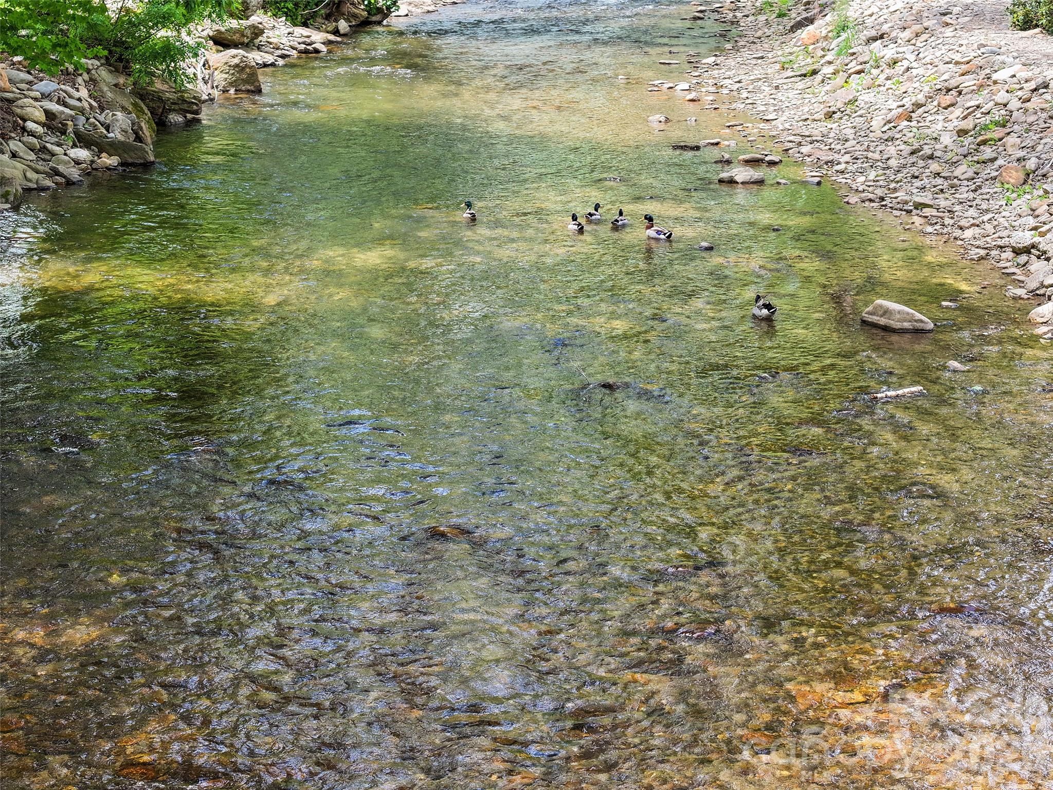 62 Rachels Circle Maggie Valley NC 28751