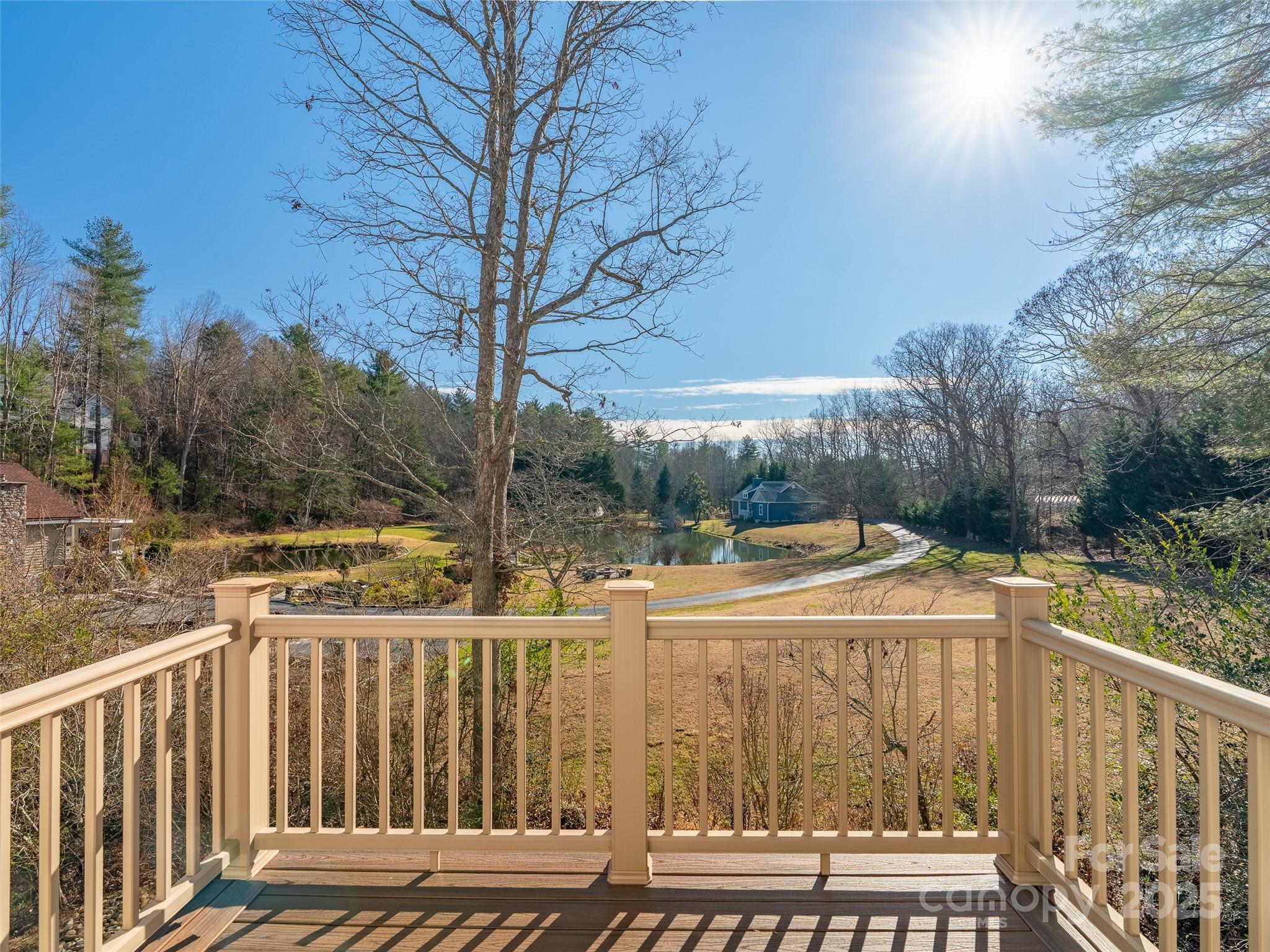 18 Tall Pines Trail Arden NC 28704