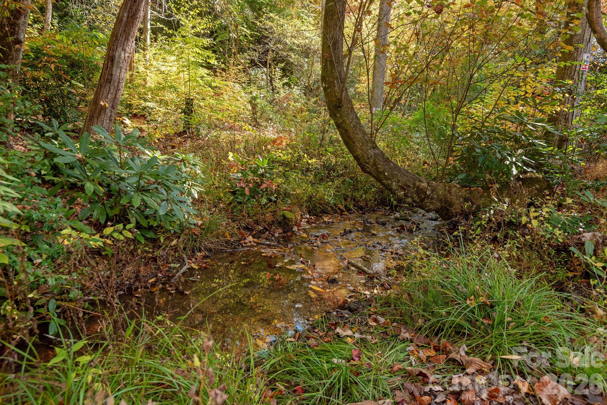 142 Davids Trace Pisgah Forest NC 28768