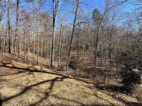 159 Wild Cherry Lane Rutherfordton NC 28139