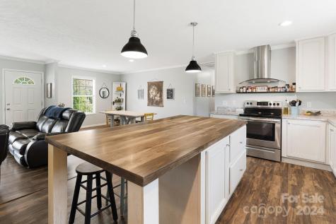 10 Hominy Hill Drive Candler NC 28715