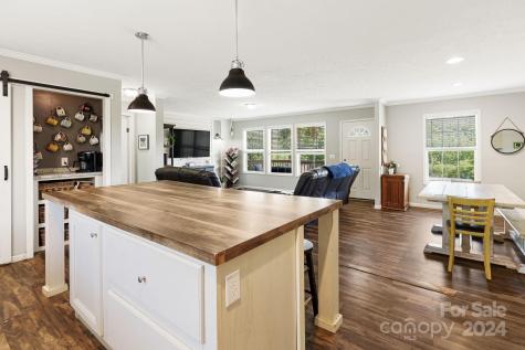 10 Hominy Hill Drive Candler NC 28715