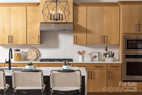 4209 Pinekirk Drive Charlotte NC 28269