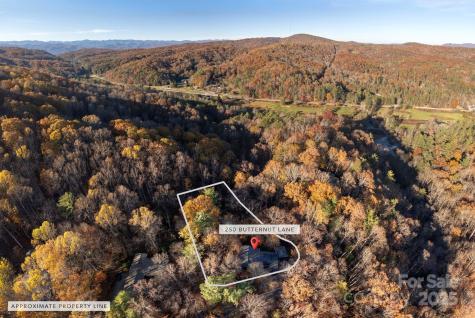 250 Butternut Lane Brevard NC 28712