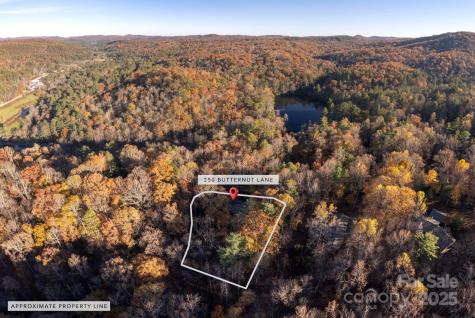 250 Butternut Lane Brevard NC 28712
