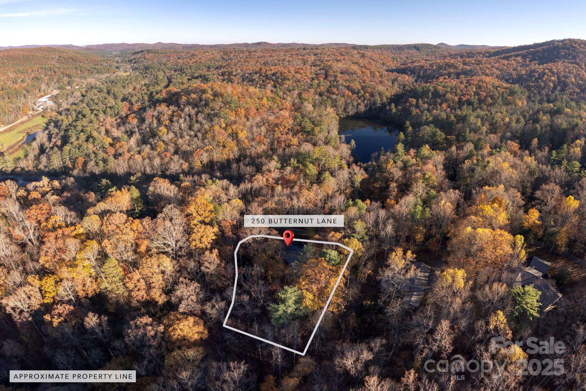 250 Butternut Lane Brevard NC 28712