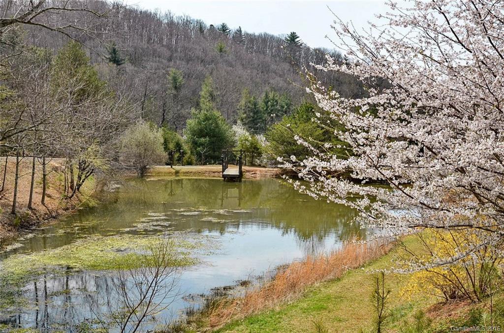 61 Winters Haven Fairview NC 28730