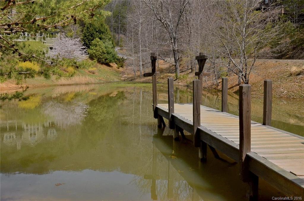61 Winters Haven Fairview NC 28730