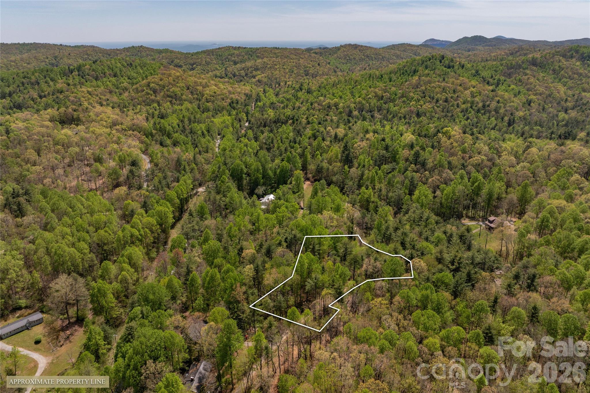 138 Stillwagon Lane Cedar Mountain NC 28718