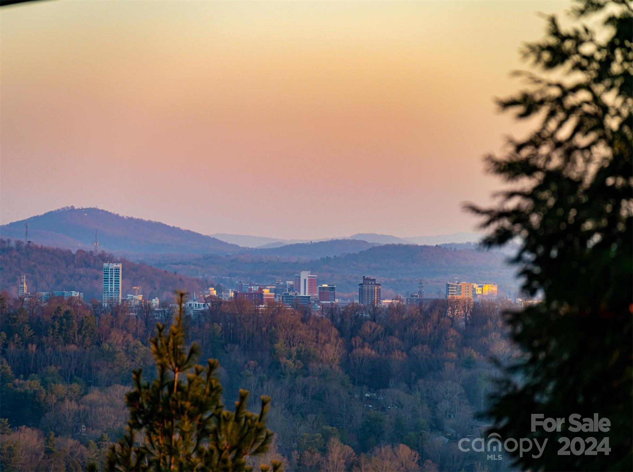 13 Point Bluff Drive Asheville NC 28804