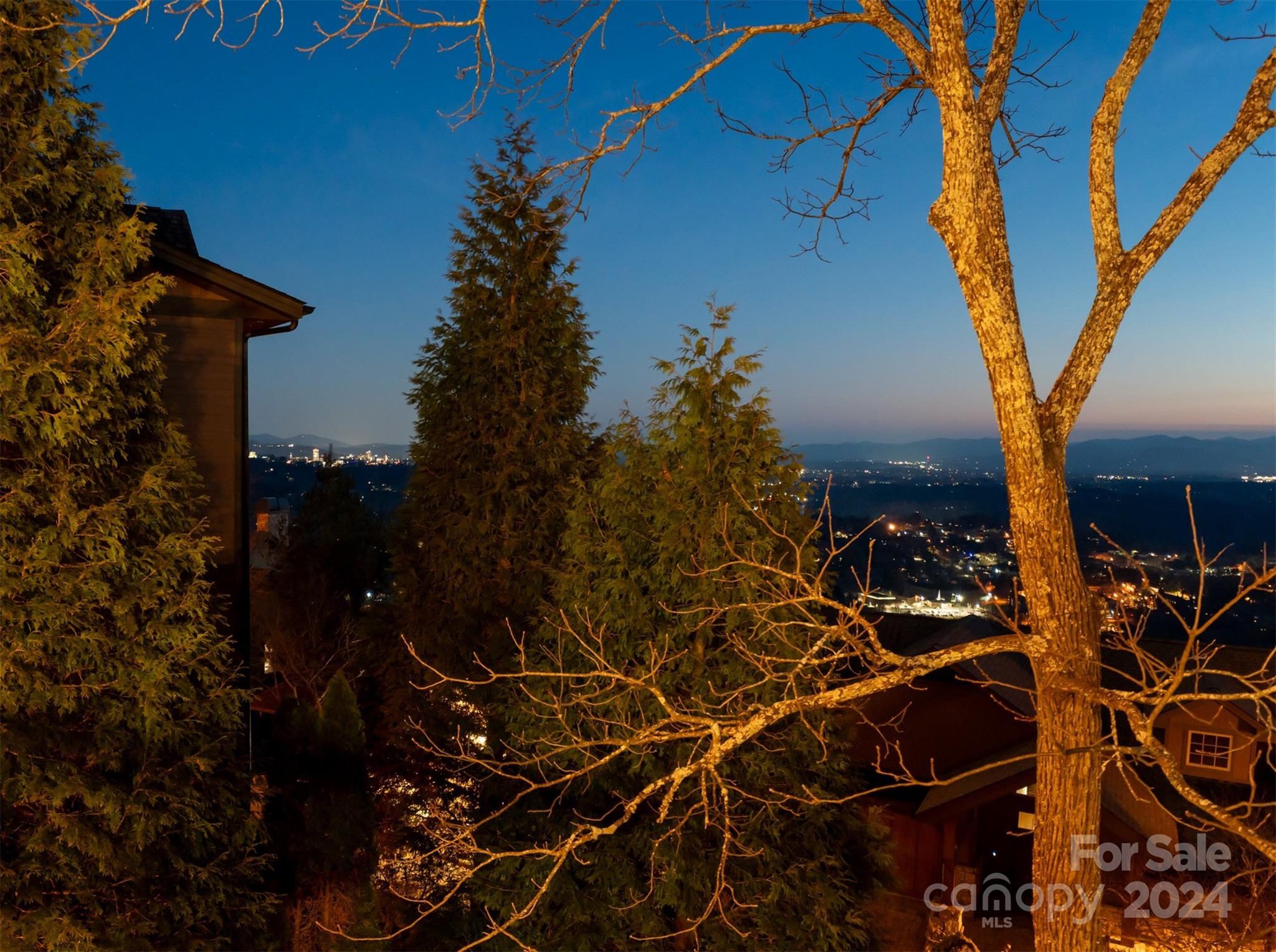13 Point Bluff Drive Asheville NC 28804