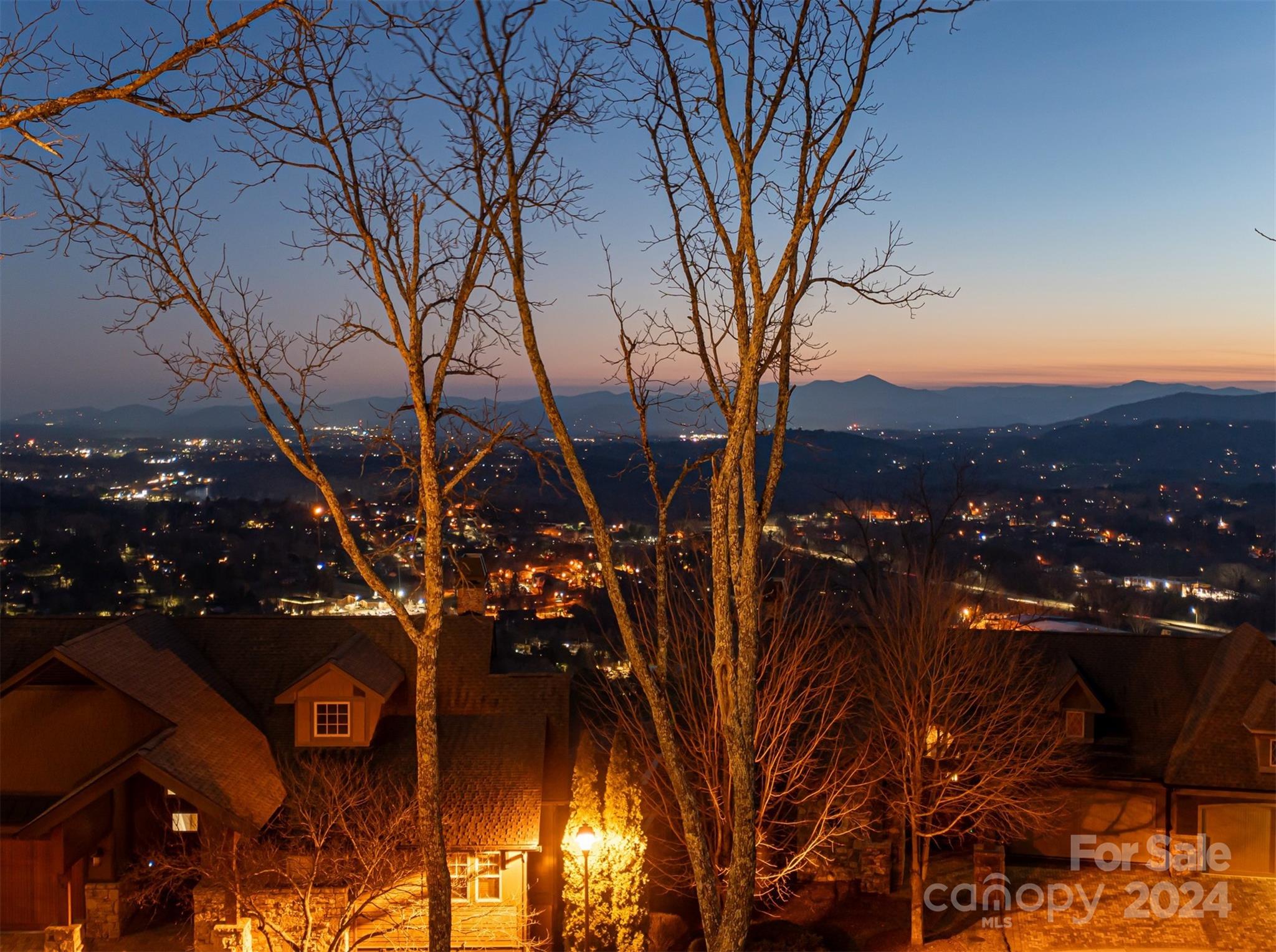 13 Point Bluff Drive Asheville NC 28804