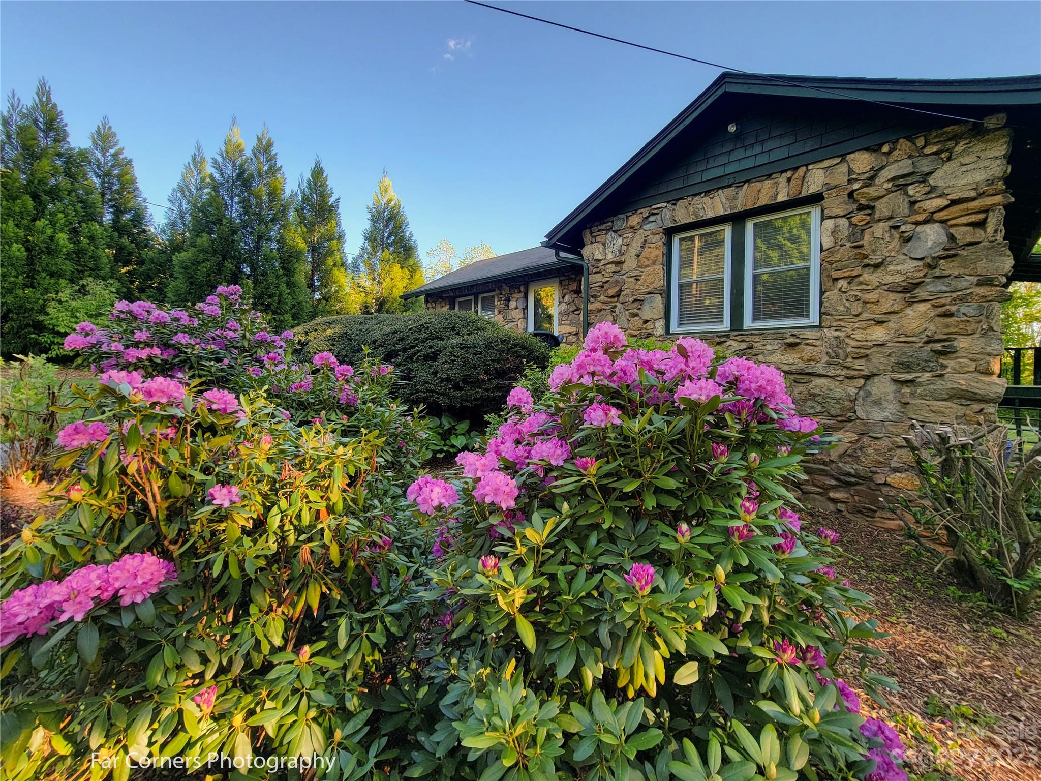 73 Bull Mountain Road Asheville NC 28805