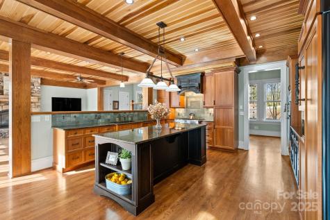 14 Landsdowne Court Asheville NC 28803