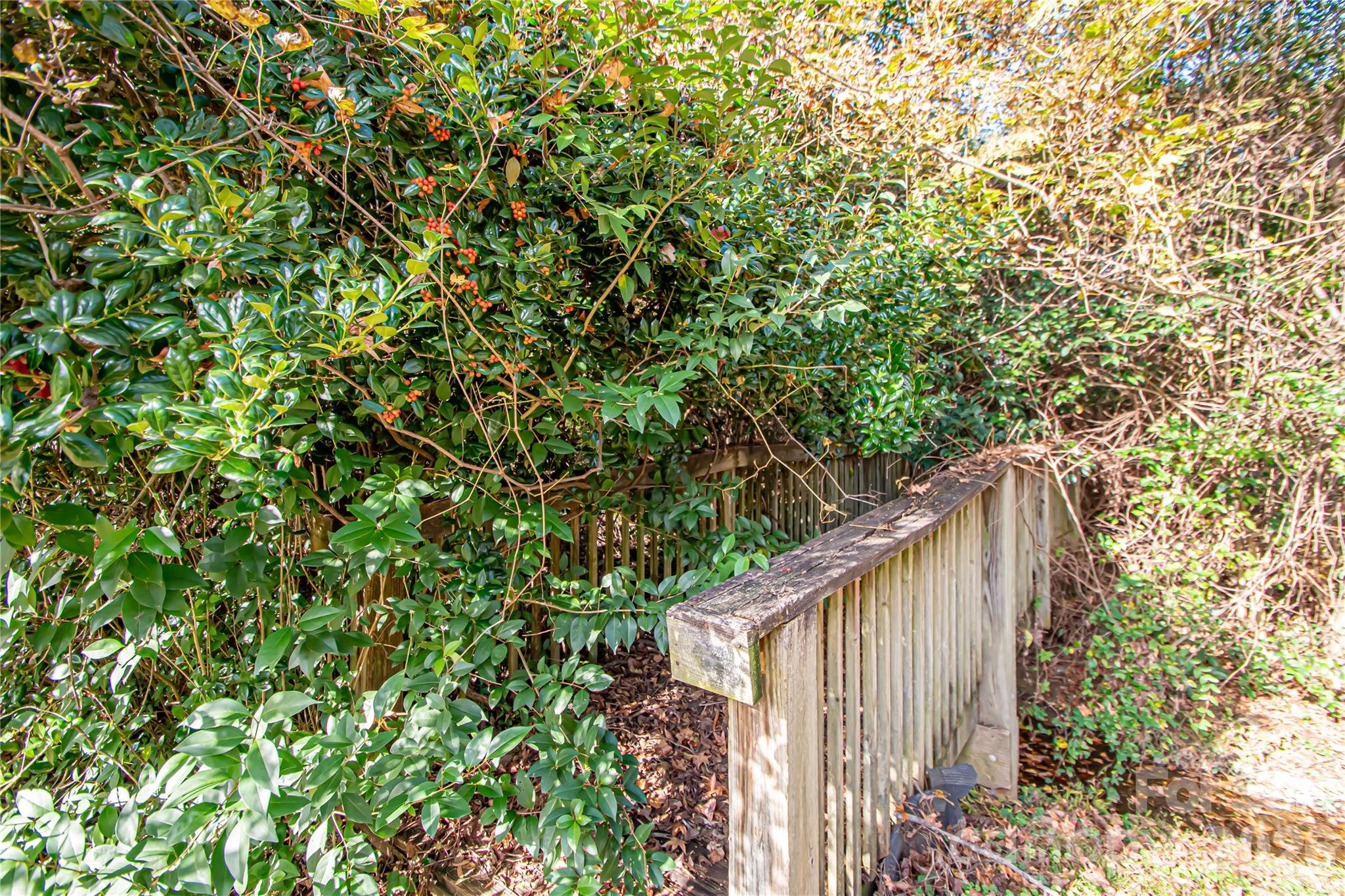 1741 Dallas Avenue Charlotte NC 28205