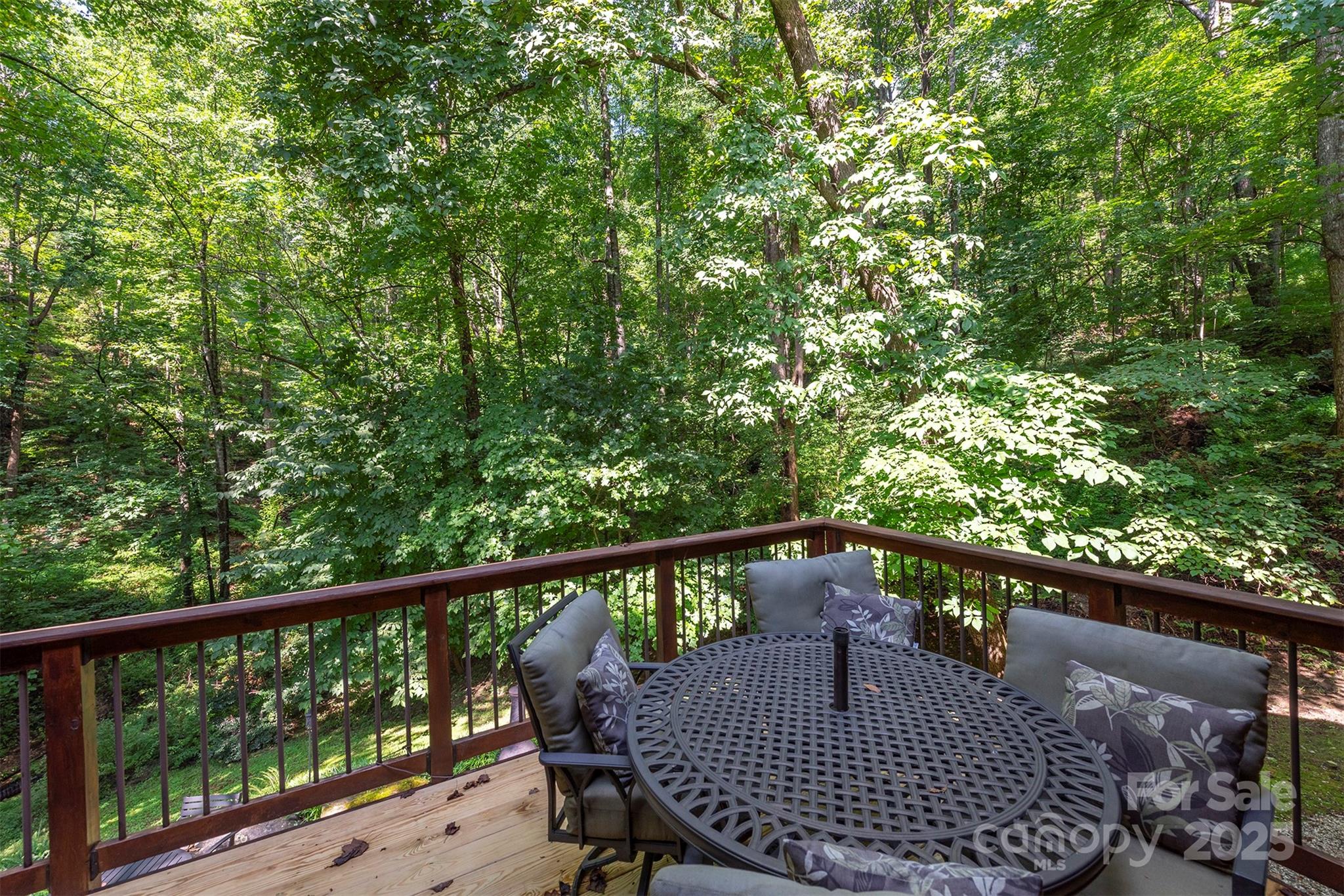 33 Cammies Way Old Fort NC 28762