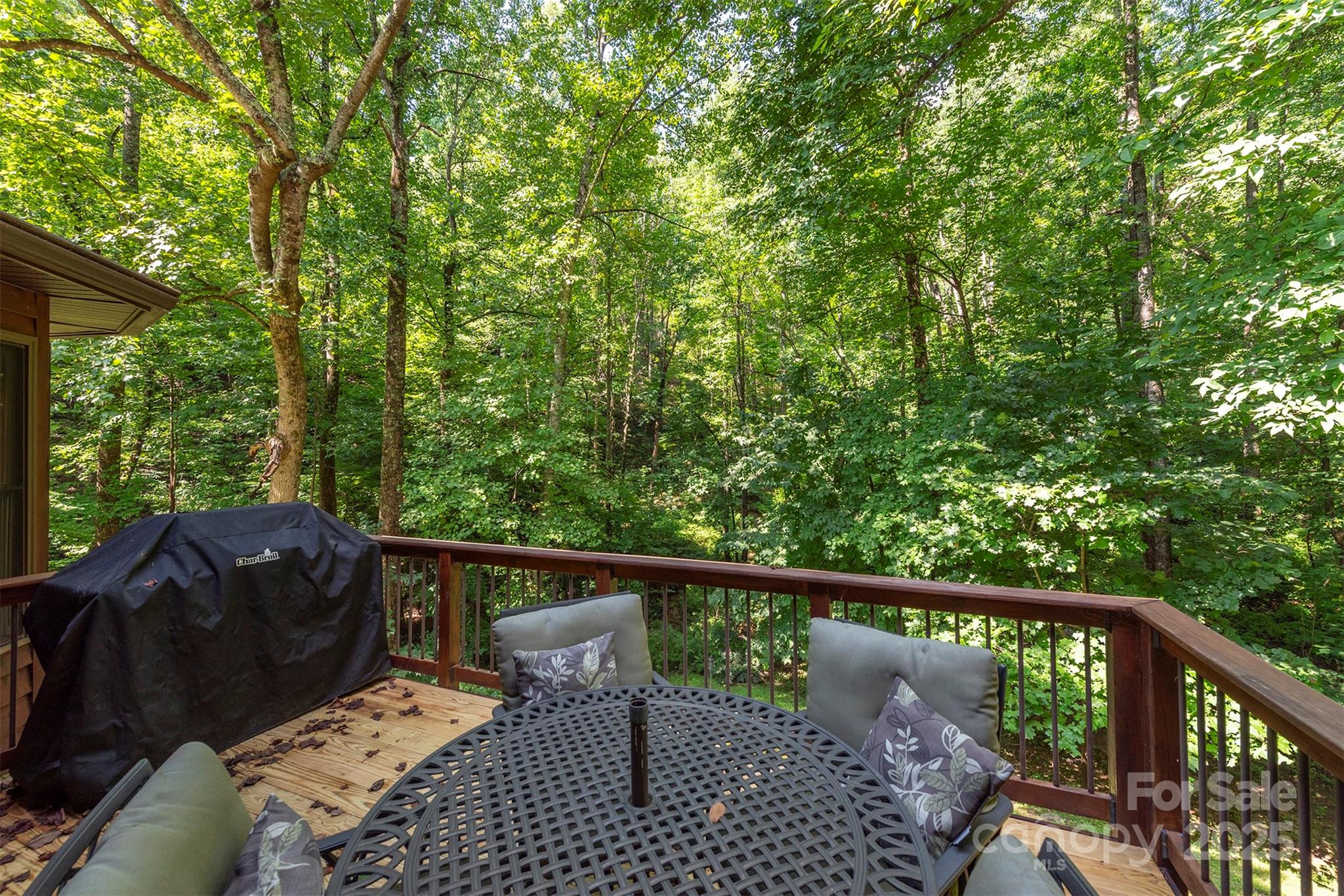 33 Cammies Way Old Fort NC 28762