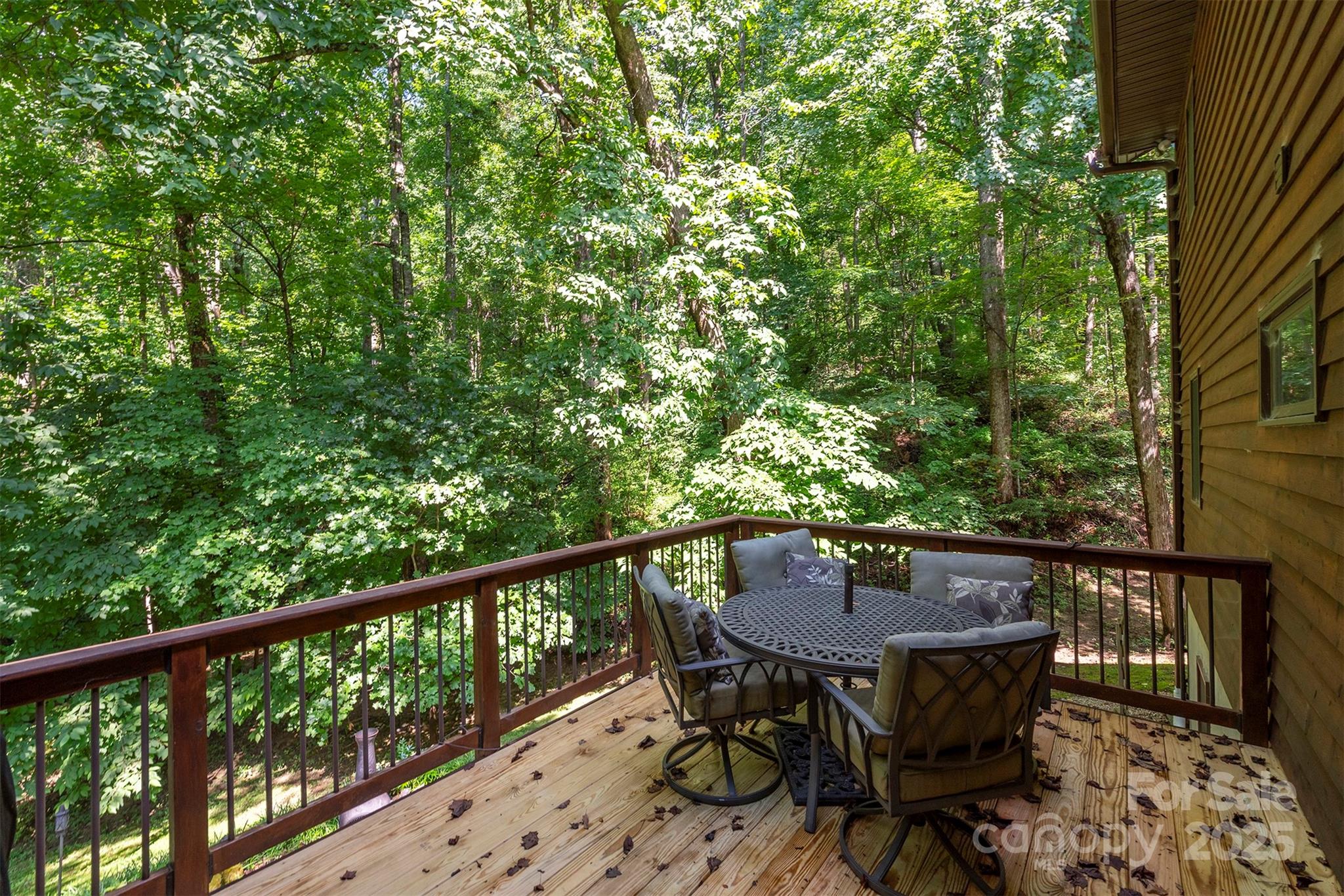 33 Cammies Way Old Fort NC 28762