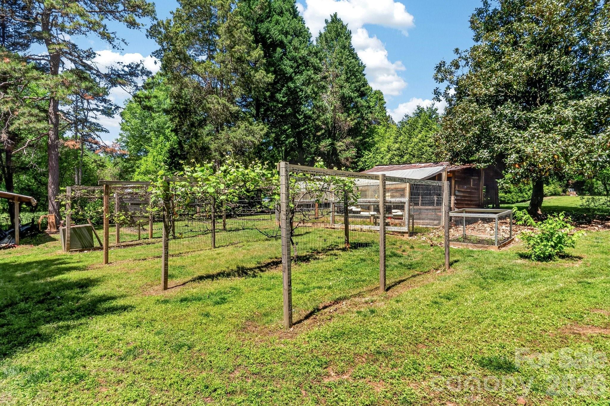 8145 Monbo Road Catawba NC 28609