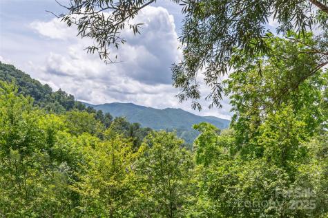 495 Courtney Lane Canton NC 28716