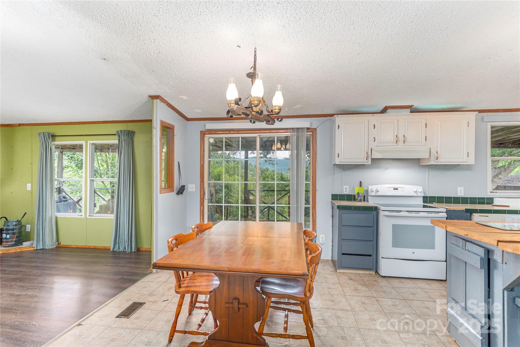 495 Courtney Lane Canton NC 28716