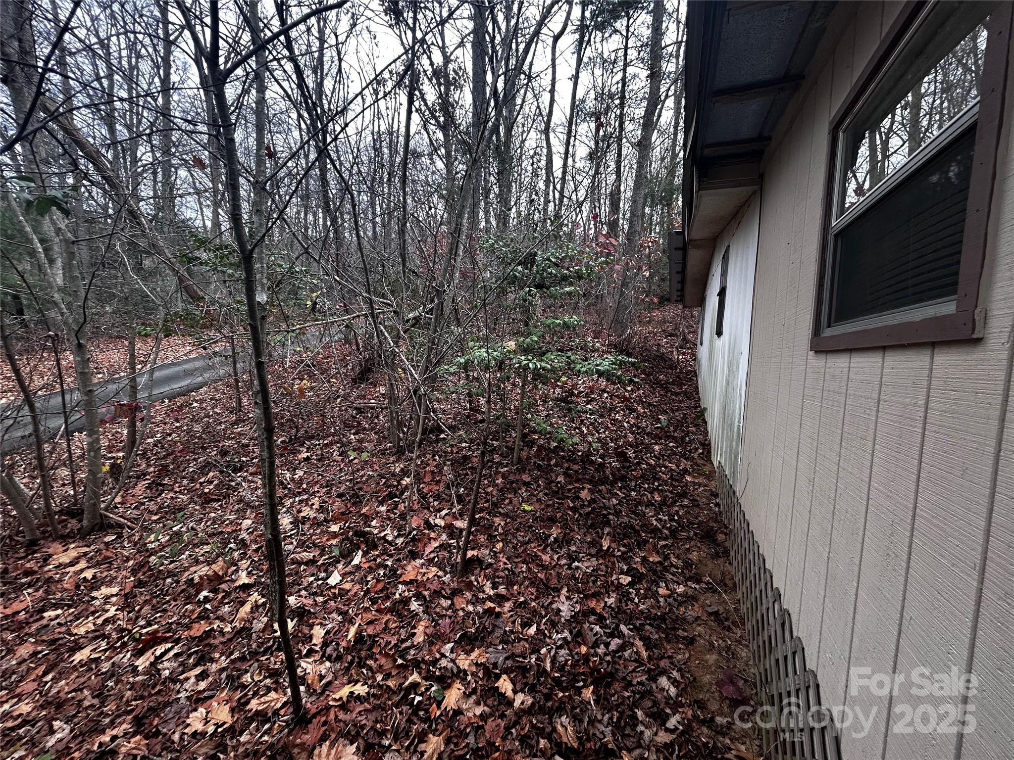 21 Bayles Freeman Road Gerton NC 28735