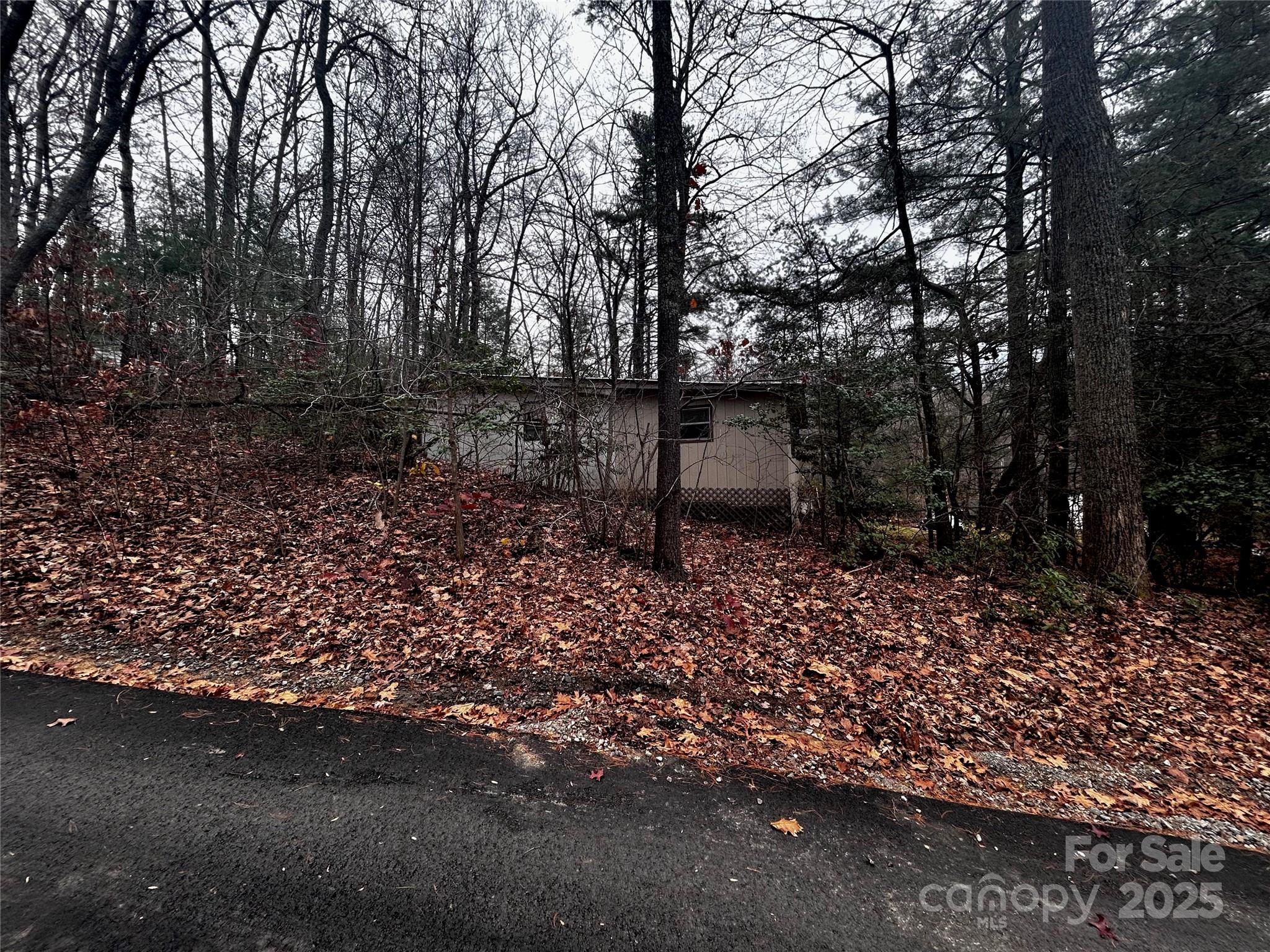 21 Bayles Freeman Road Gerton NC 28735