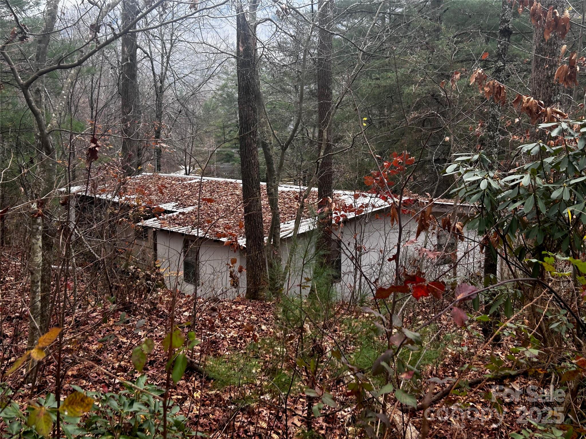 21 Bayles Freeman Road Gerton NC 28735