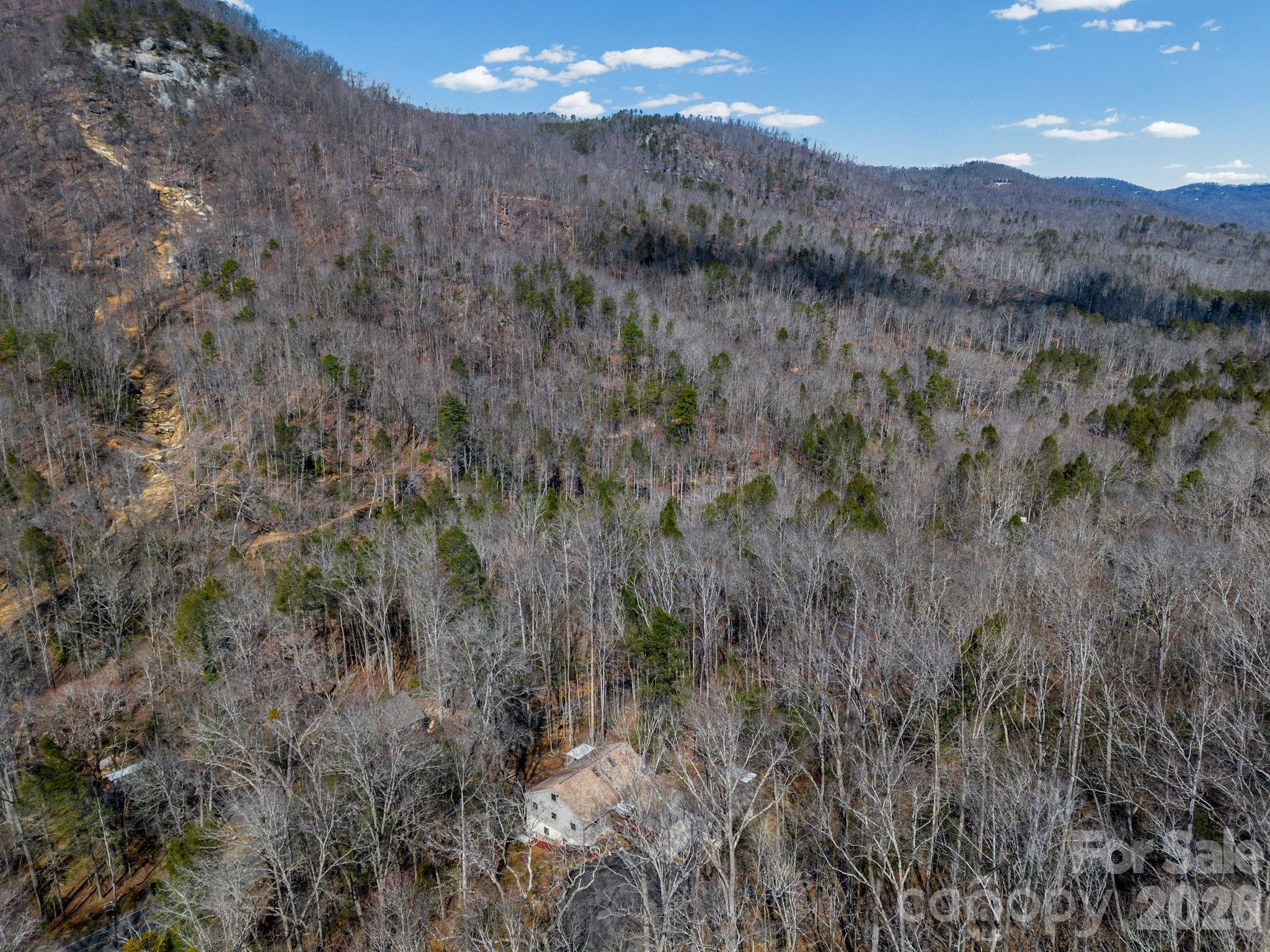 111 Buckeye Road Lake Lure NC 28746