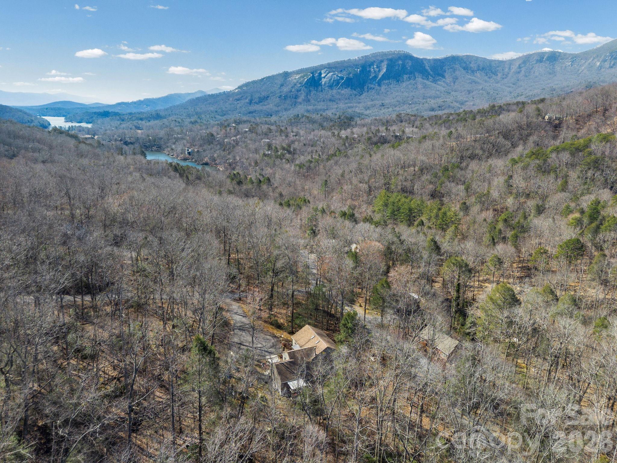 111 Buckeye Road Lake Lure NC 28746