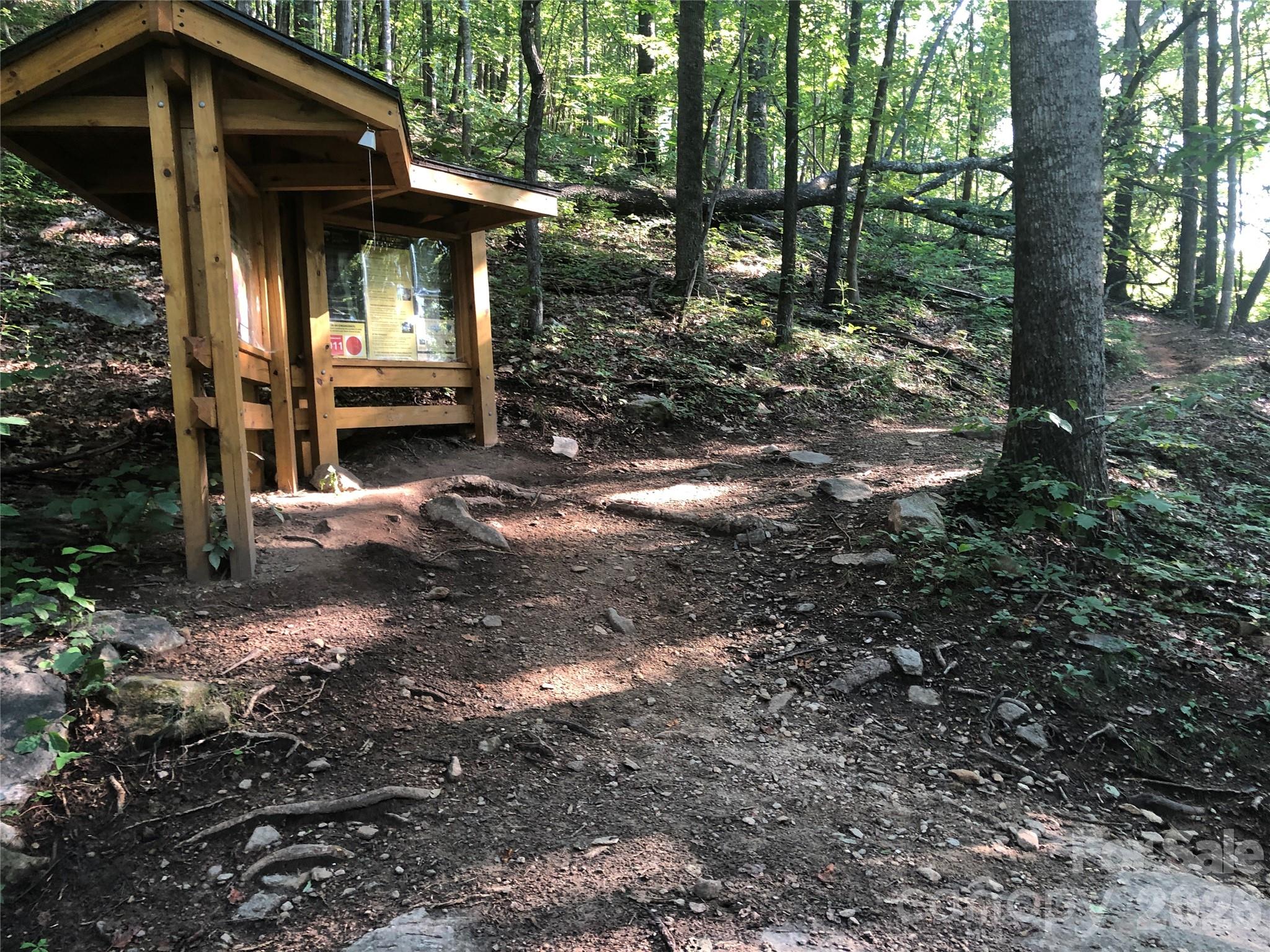111 Buckeye Road Lake Lure NC 28746