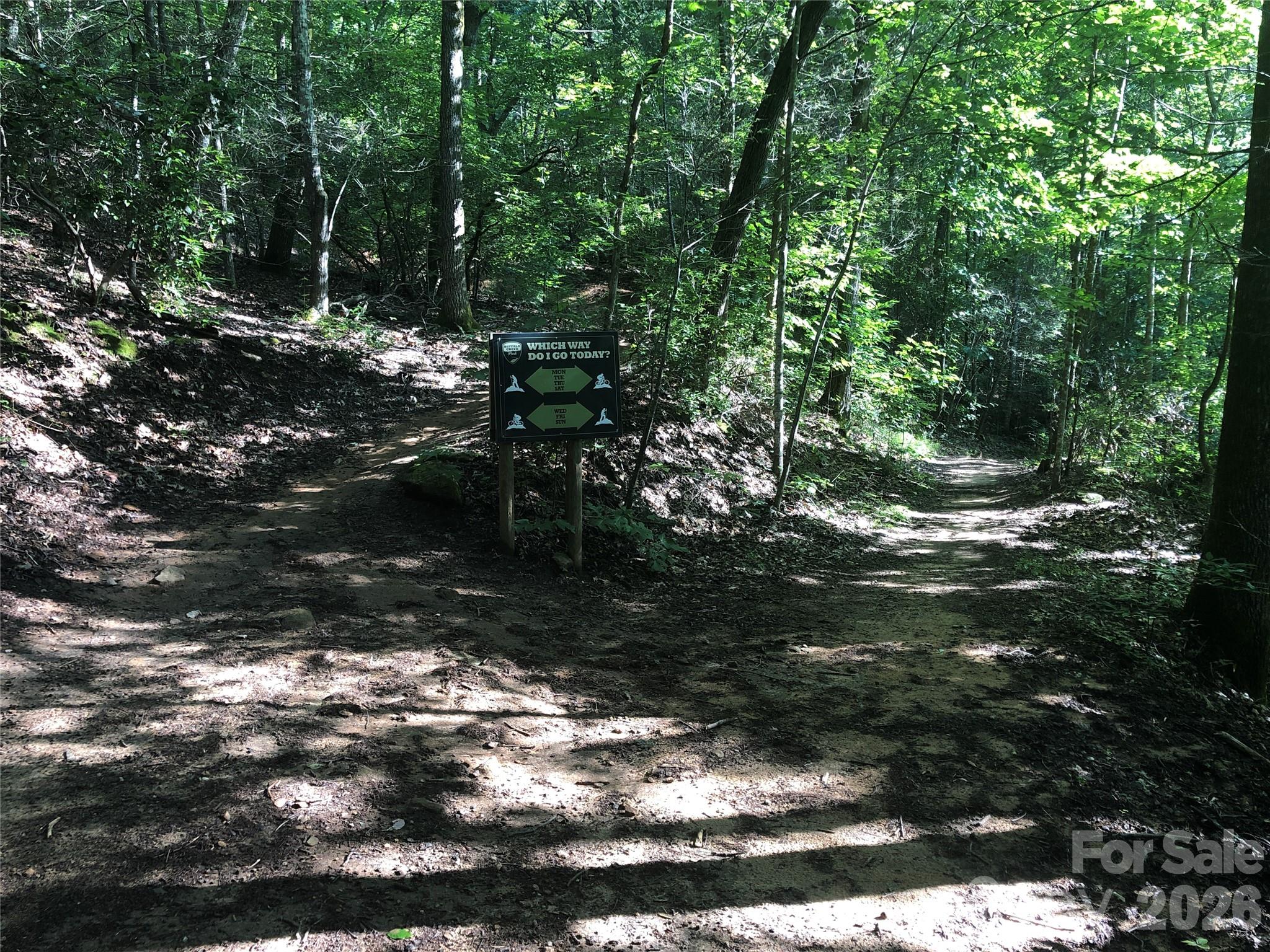 111 Buckeye Road Lake Lure NC 28746