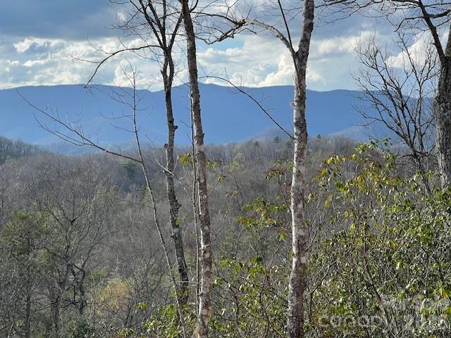 646 Fontana Ridge Road Bryson City NC 28713