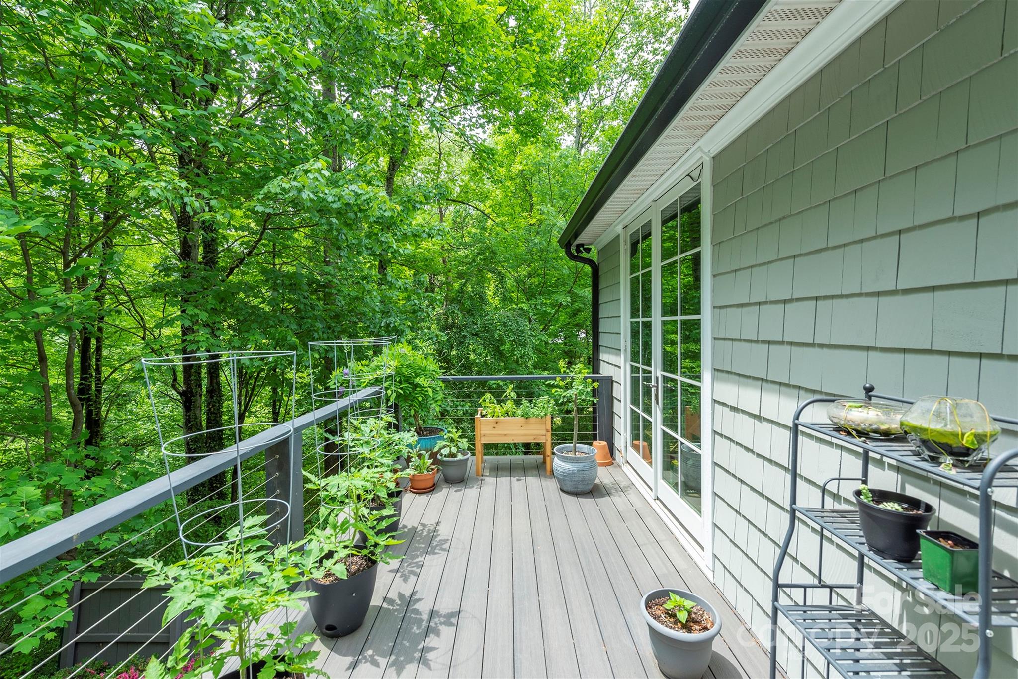 3 Lornelle Place Asheville NC 28804