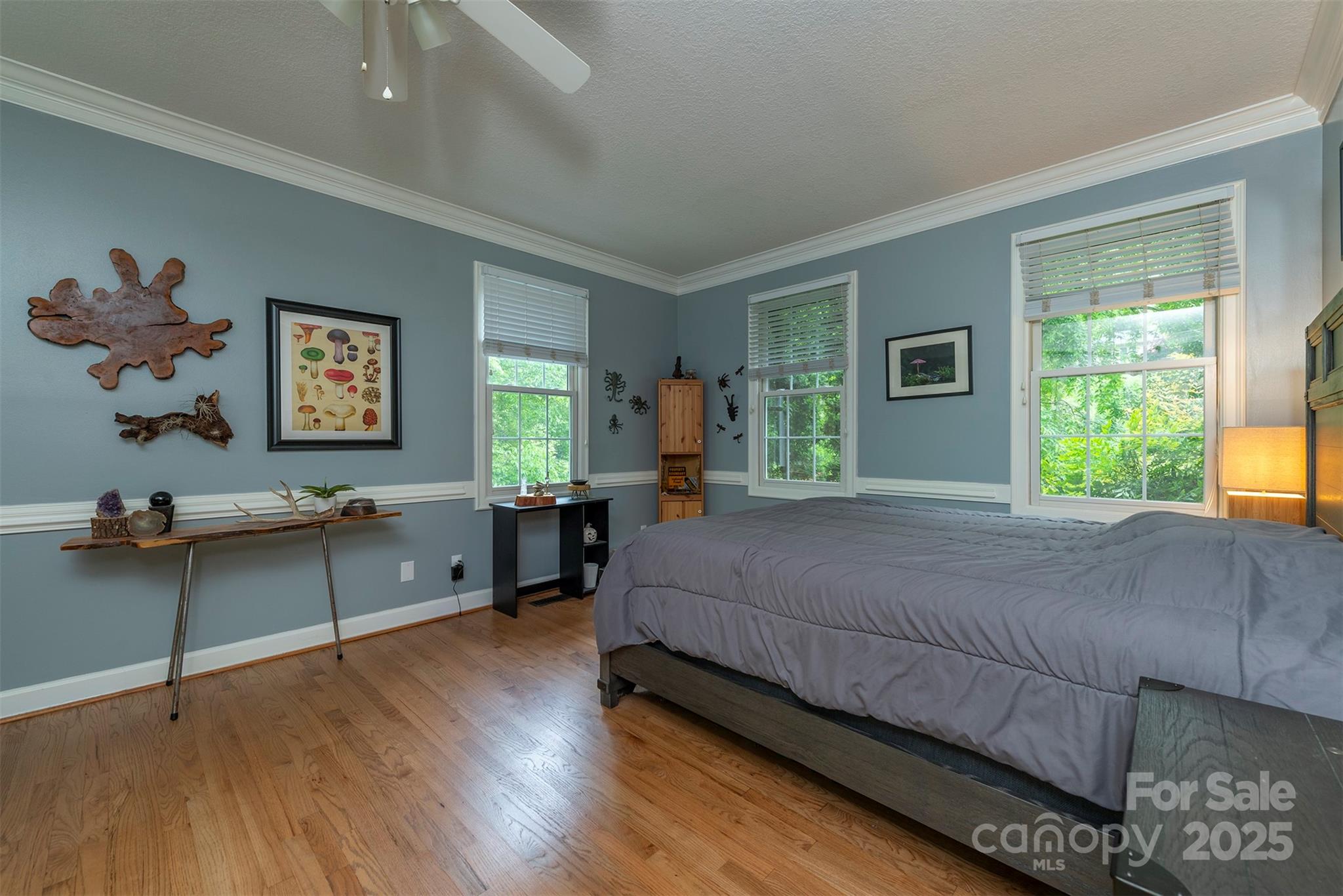 3 Lornelle Place Asheville NC 28804