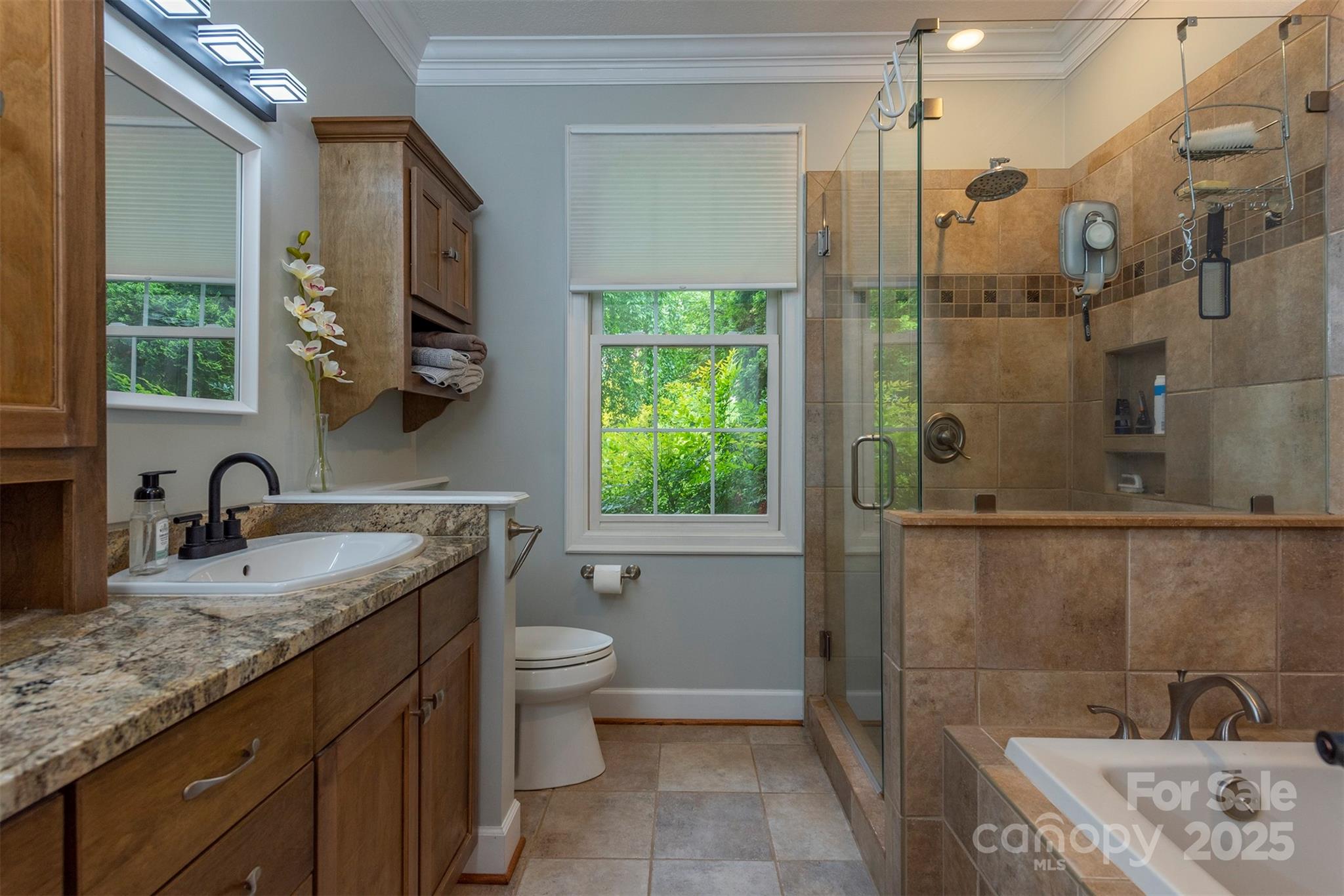 3 Lornelle Place Asheville NC 28804