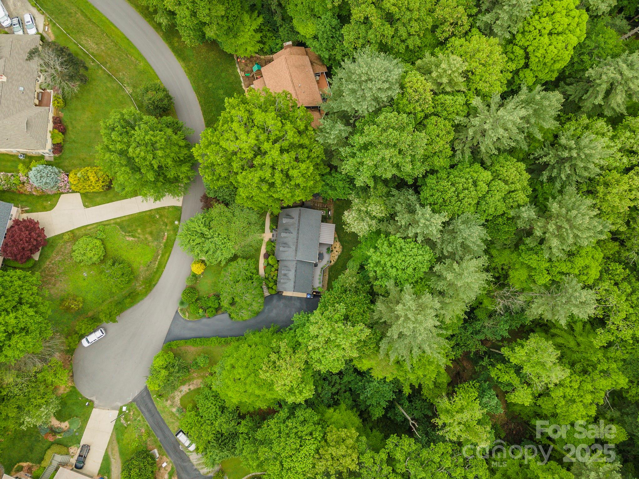 3 Lornelle Place Asheville NC 28804
