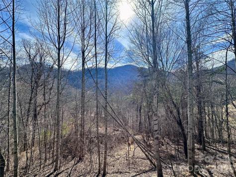 40 Shook Cove Road Leicester NC 28748