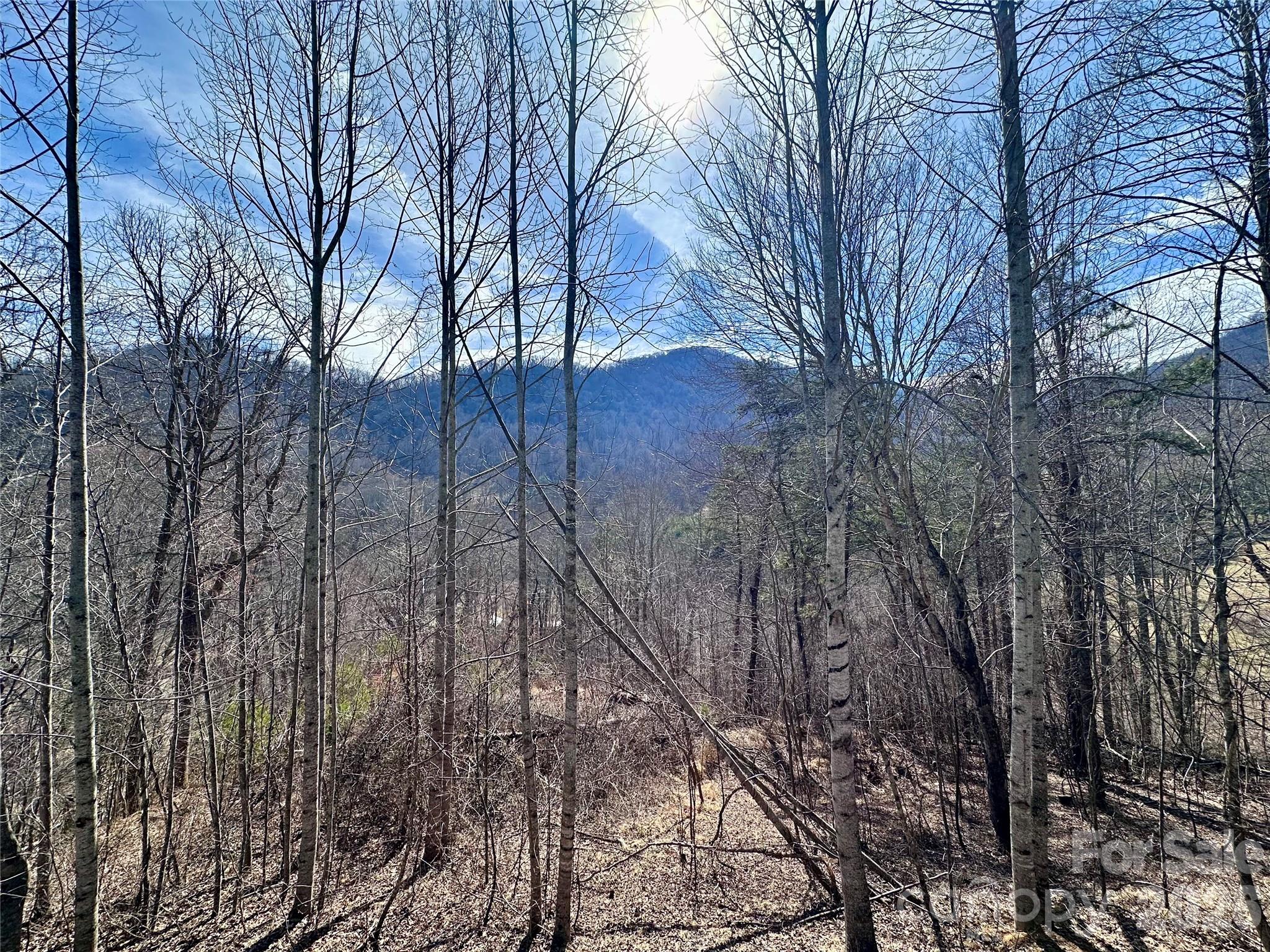 40 Shook Cove Road Leicester NC 28748