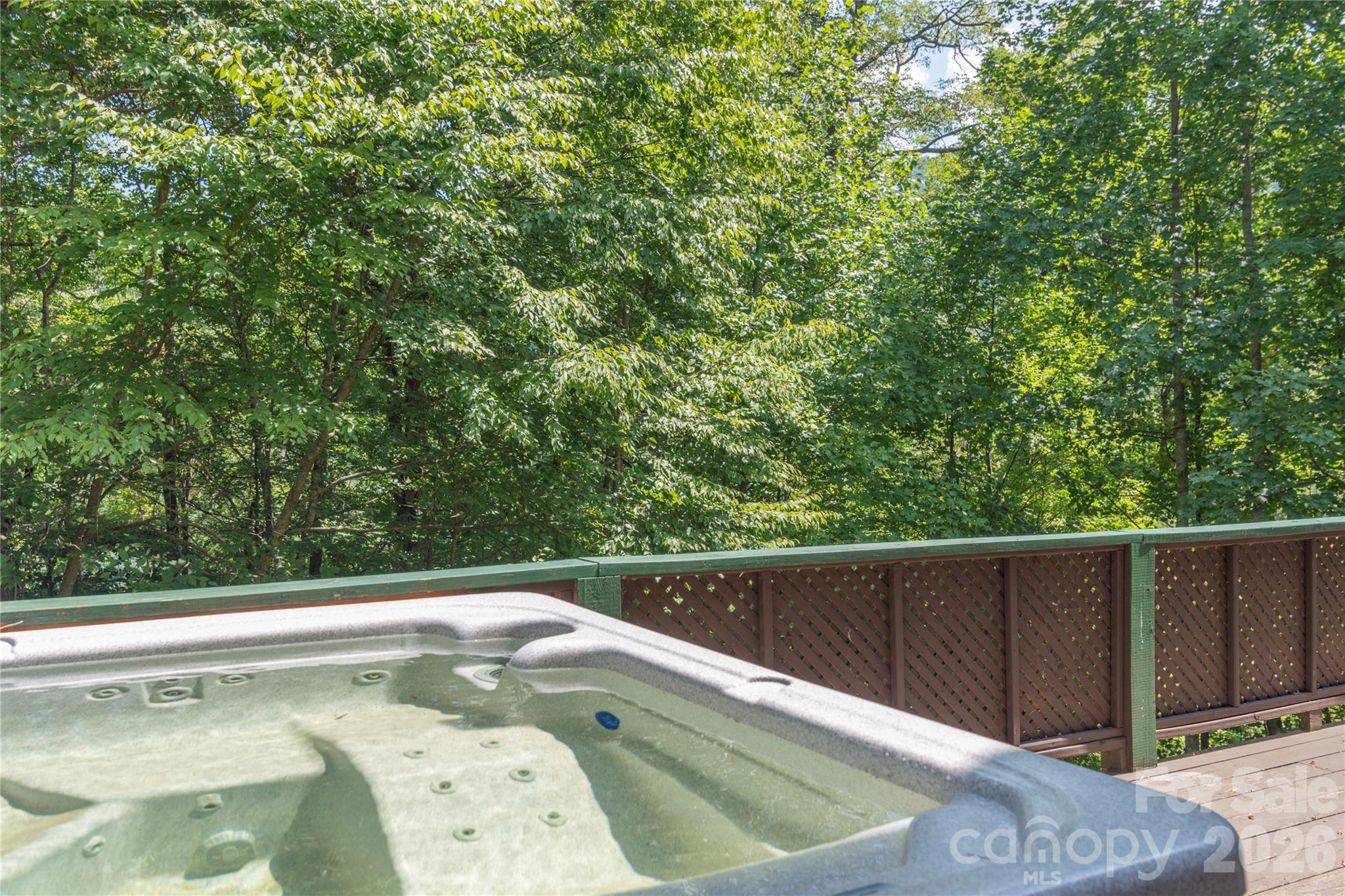 40 Shook Cove Road Leicester NC 28748
