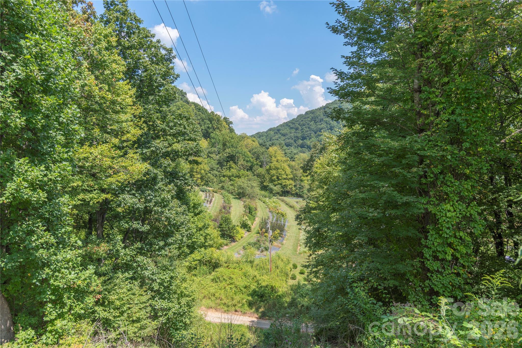 40 Shook Cove Road Leicester NC 28748
