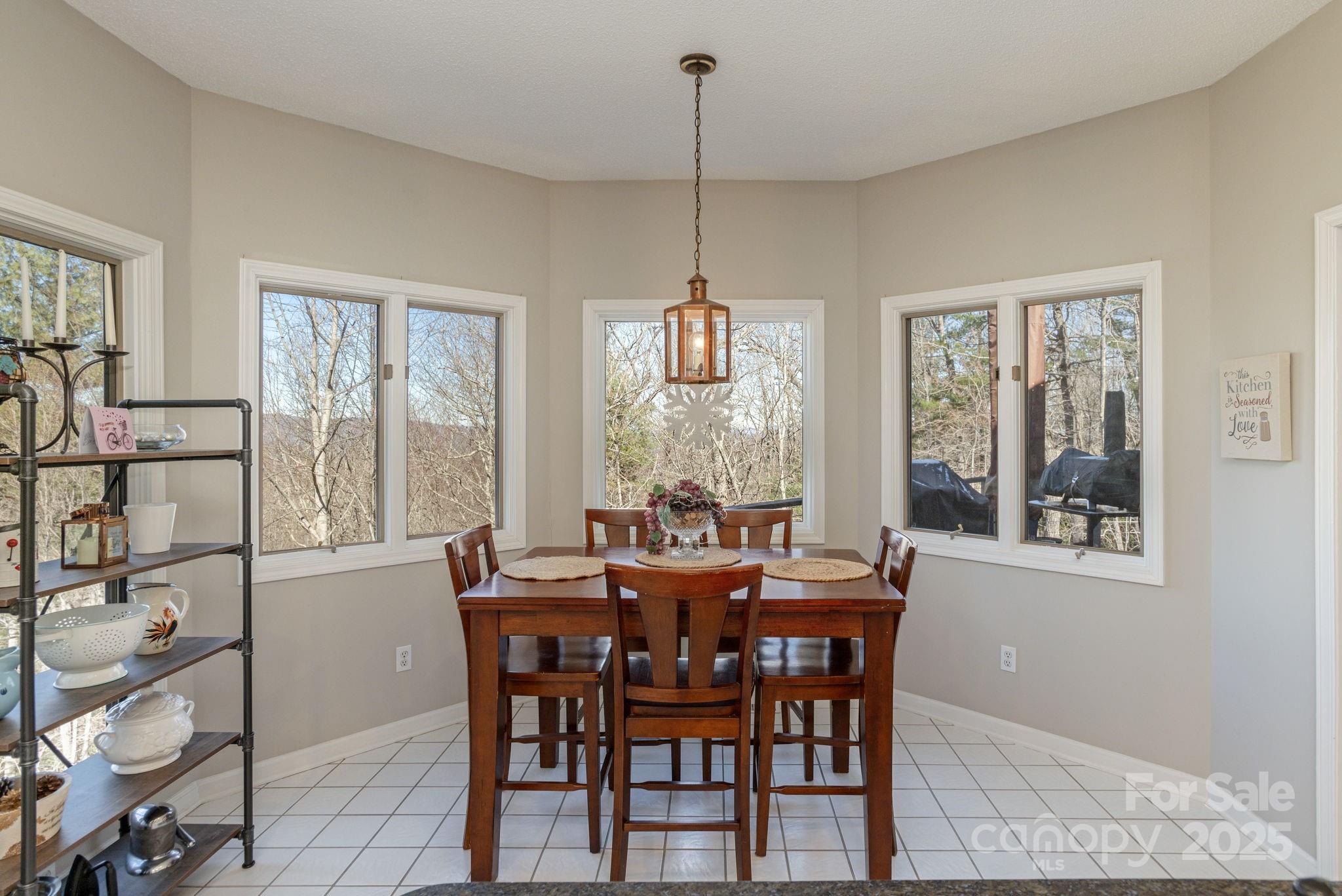 155 Poplar Loop Drive Flat Rock NC 28731