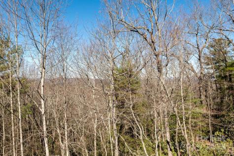 155 Poplar Loop Drive Flat Rock NC 28731